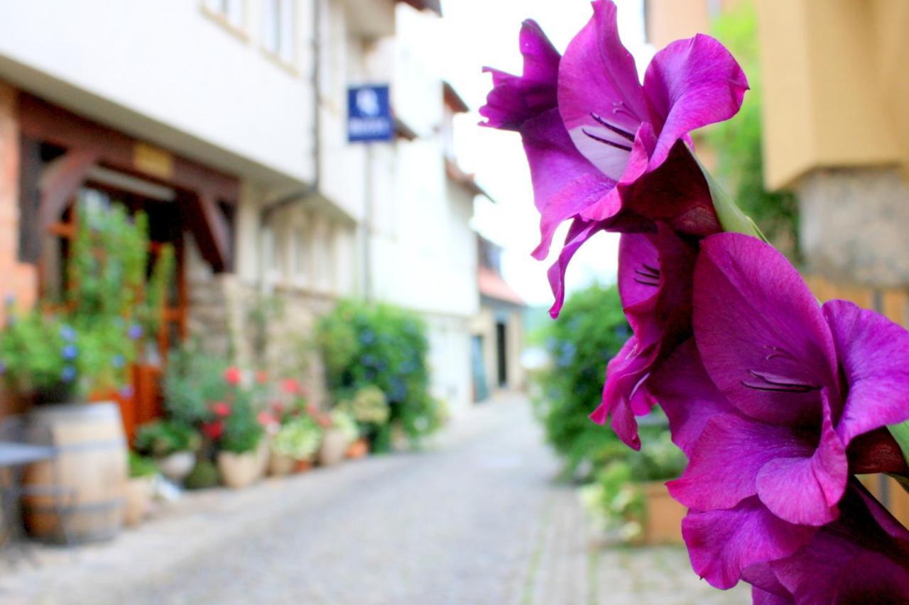 D & S Hotel & Ferienwohnungen เบอซิกไฮม์ ภายนอก รูปภาพ