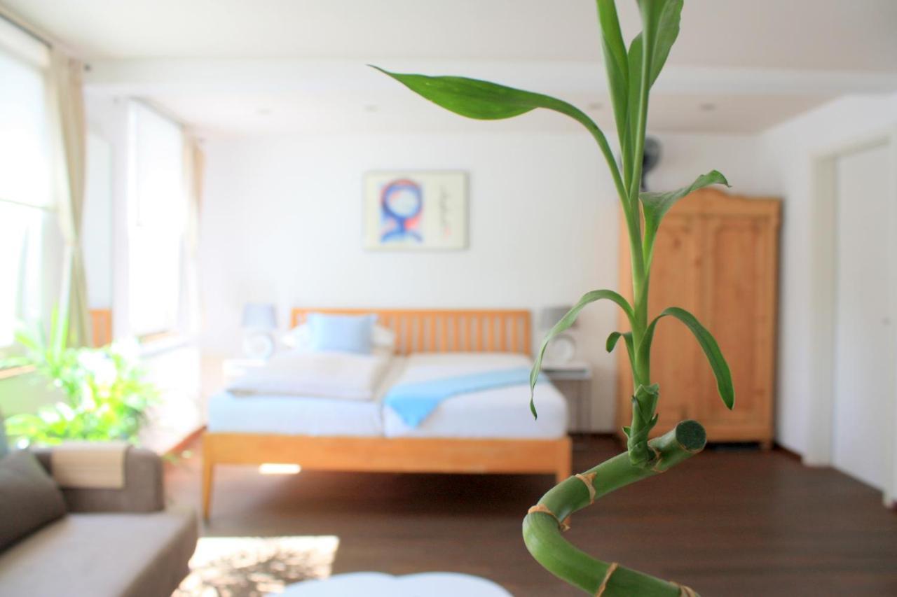D & S Hotel & Ferienwohnungen เบอซิกไฮม์ ภายนอก รูปภาพ